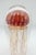 Golden Barberry Glass Jellyfish Sculpture For Sale In New York - Image 6 of 7