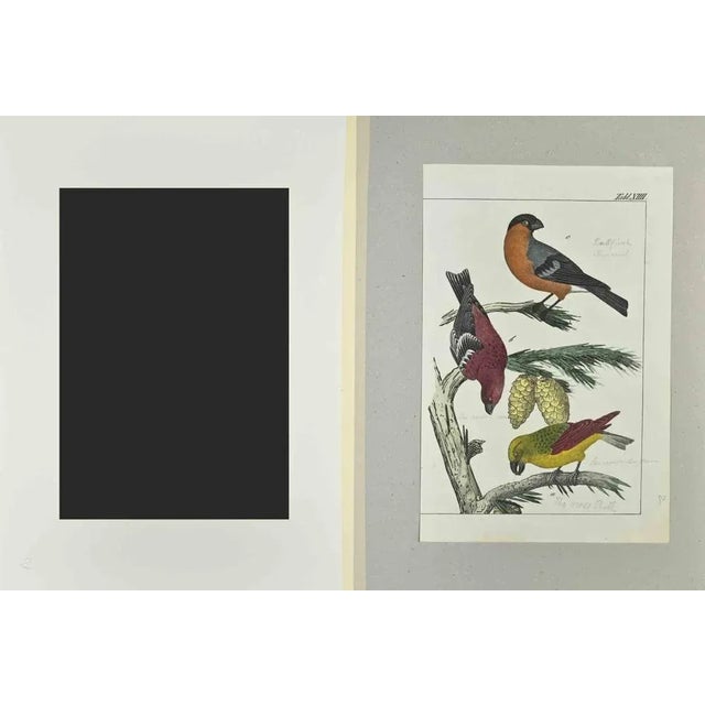 The Cross Bell is an Etching hand colored realized by Gotthilf Heinrich von Schubert - Johann Friedrich Naumann,...