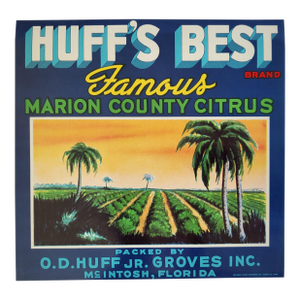 1930s 'Huff’s Best Famous Marion County Citrus' McIntosh, Florida Fruit Crate Label