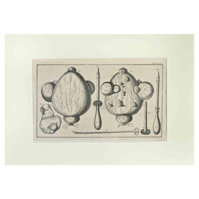 Lorenz Heister, Surgical Instruments, Etching, 1750 For Sale