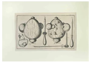 Lorenz Heister, Surgical Instruments, Etching, 1750