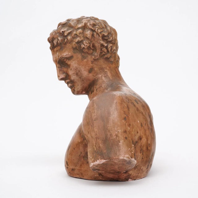 Brown Terracotta Vintage French Hermes Bust For Sale - Image 8 of 9
