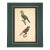 1833 Buffon Oiseaux Hand-Colored Lithograph | Collected Antique Ornithology For Sale