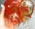 Red Italian Murano Style Amber Red Glass Bear Sculpture, 1950s For Sale - Image 8 of 18