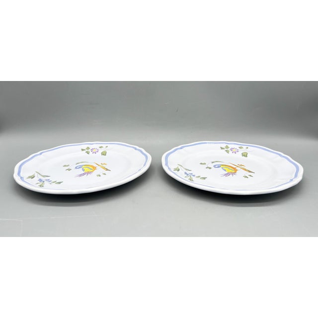 French Provincial Vintage Hand-Painted French Faience Bird Plates – A Pair – French Country / Provincial For Sale - Image 3 of 11