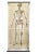 Chart with Large Skeleton of the Human Body from Köln Museum, 1952 For Sale - Image 4 of 4