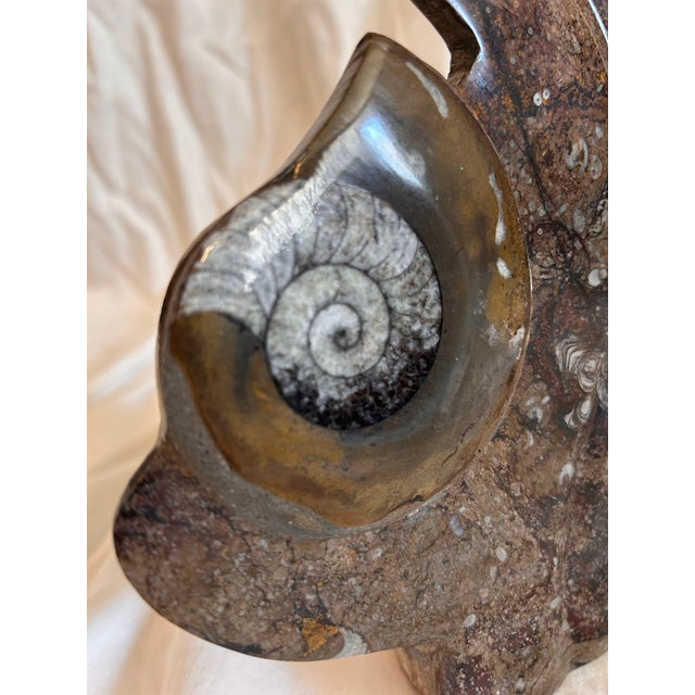 Contemporary Late 20th Century Authentic Fossilized Ammonite Sculpture For Sale - Image 3 of 3