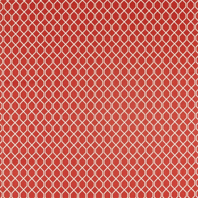 Sanderson Botanic Trellis Fabric in Bengal Red For Sale