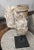 Almond Organic Modern Fossil Scholar Stone For Sale - Image 8 of 8