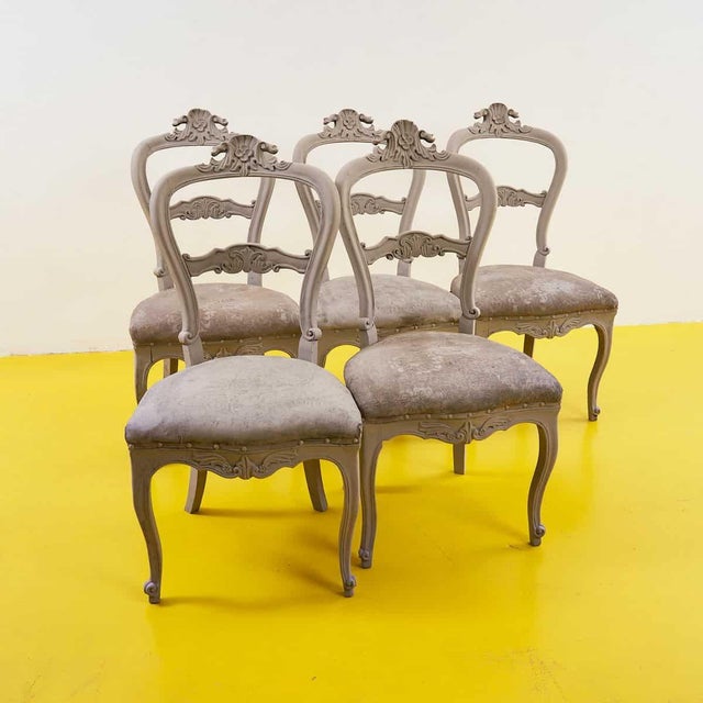 Gray 5 Dove Gray Chairs, 1900s, Set of 5 For Sale - Image 8 of 8