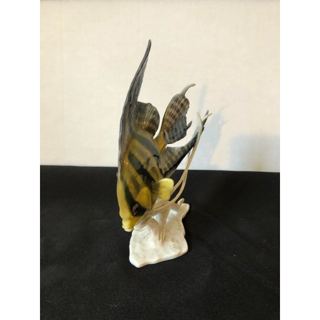 Fritz Heidenreich Rosenthal Scalar Angelfish Porcelain Figurine Model 1766 Designed by Fritz Heindenreich For Sale - Image 4 of 6