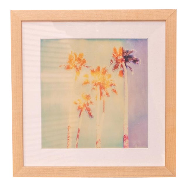Stefanie Schneider Palm Springs "Palm Trees Ii" Framed Print For Sale