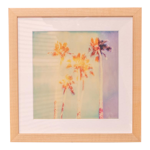 Stefanie Schneider Palm Springs "Palm Trees Ii" Framed Print