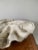 Mid 20th Century Mid 20th Century Giant Faux Clam Shell For Sale - Image 5 of 8