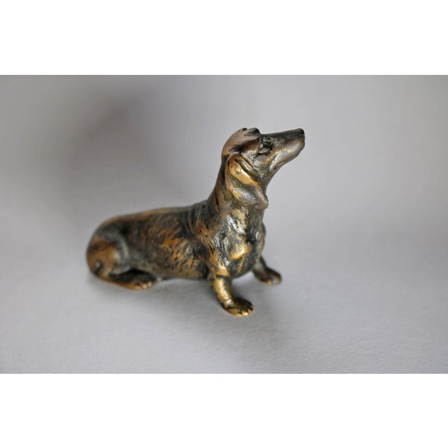 Miniature Bronze Dog Sculpture, 1905 For Sale - Image 3 of 5