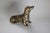 Miniature Bronze Dog Sculpture, 1905 For Sale - Image 3 of 5