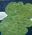 Stylized Folk Art Style Landscape Painting - The Tree For Sale - Image 4 of 7