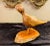 1990s Hand Carved Wood Birds on Wooden Bases - a Pair For Sale - Image 5 of 13