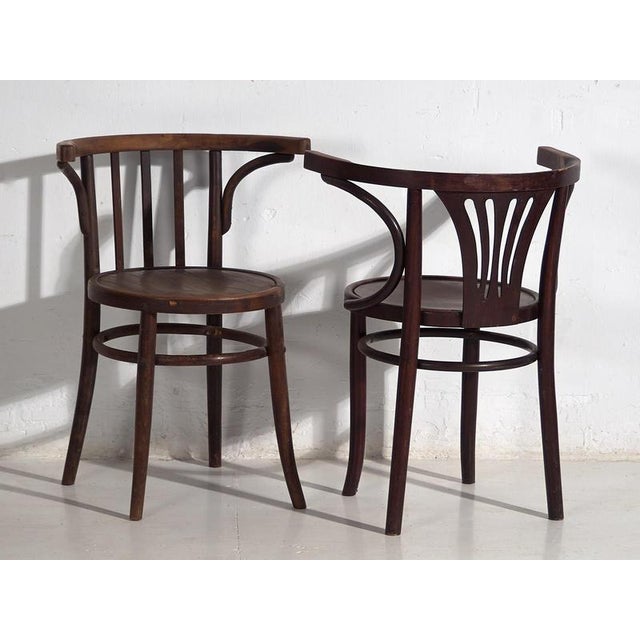 Chairs with Armrests from Thonet, 1920s, Set of 4 For Sale - Image 11 of 18