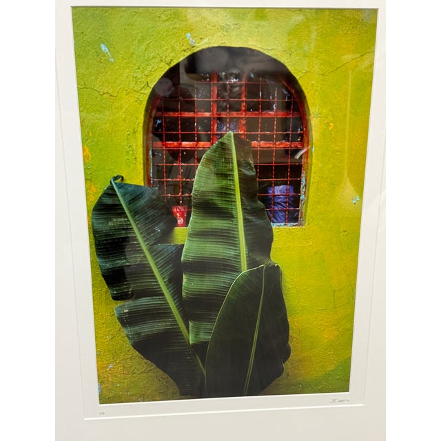 1990s Jeffrey Becom Maya Color Chartreuse Ltd. Ed. Photograph, Signed For Sale - Image 5 of 12