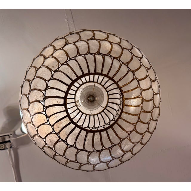 World Market Natural Capiz Globe Pendant For Sale In San Francisco - Image 6 of 12