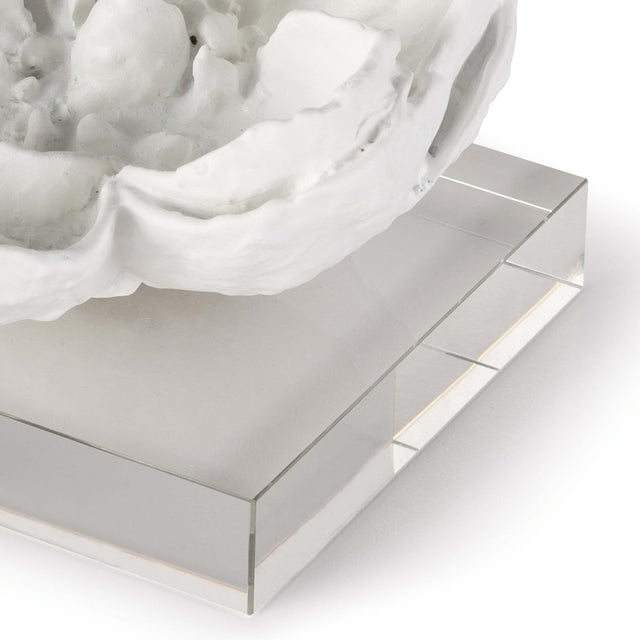 Transitional Regina Andrew Magnolia Objet in White For Sale - Image 3 of 6