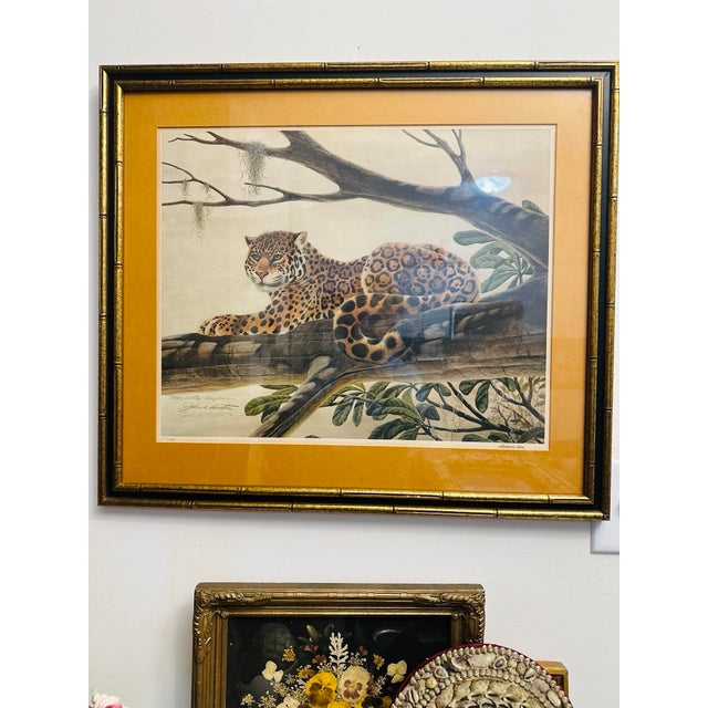 1980s Vintage Leopard Signed Lithograph, Framed For Sale - Image 5 of 8