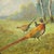 Rustic European Antique Honor Target With Three Pheasants, Germany Ca. 1930s For Sale - Image 3 of 4