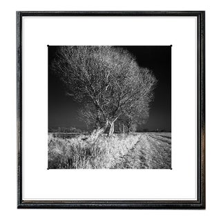 Paul Cooklin, West Thorpe IV, Edition of 50 For Sale