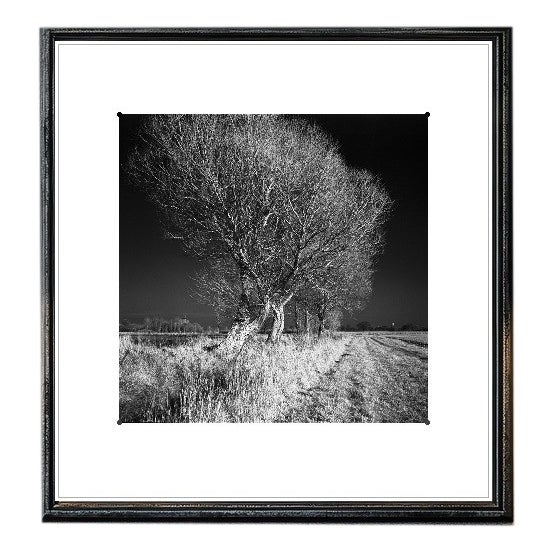 Paul Cooklin, West Thorpe IV, Edition of 50 For Sale