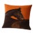 Exquisite Luxury Arts & Crafts Sofa Cushions / Pillows Cover Cover With Insert For Sale