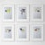 Set of 6 - Organic Modern Minimalist Flower Studies | Botanical Oil Paintings | Herbarium Wall Art | Natural Tones For Sale - Image 11 of 12