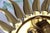 Sunburst Sputnik Wall Lamp in Brass, 1950s For Sale - Image 13 of 16