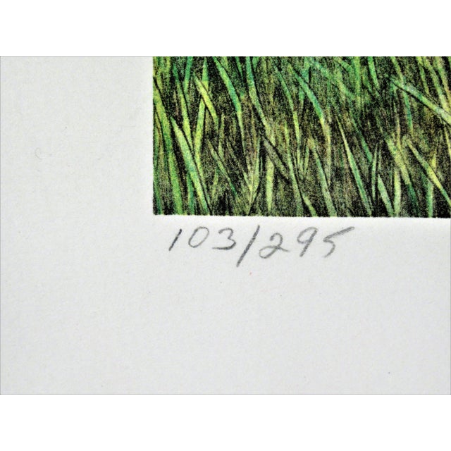 Helen Rundell, Cornucopia, 1987 For Sale In San Francisco - Image 6 of 7