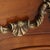 Louis XV Chest of Drawers with Arbalète Front For Sale - Image 5 of 18