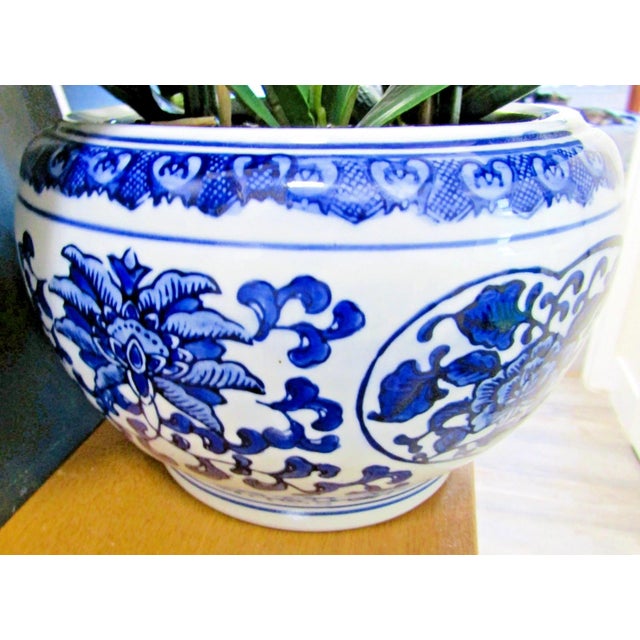 Asian Triple White Phalaenopsis Orchid in Blue White Asian Pot Arrangement For Sale - Image 3 of 12