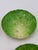Late 19th Century Eb Napoli Italian Majolica Lettuceware Plates - Set of Four For Sale In New York - Image 6 of 16