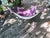 Jorge Ferrari Hardoy Mid-Century Modern Hardoy Style Welded Solid Wrought Iron BKF Butterfly Chair With Purple Canvas Seat For Sale - Image 4 of 15