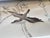 Grey Chinoiserie Mural | 2-Panel Hand-Painted Floral & Bird Wallpaper For Sale - Image 4 of 6