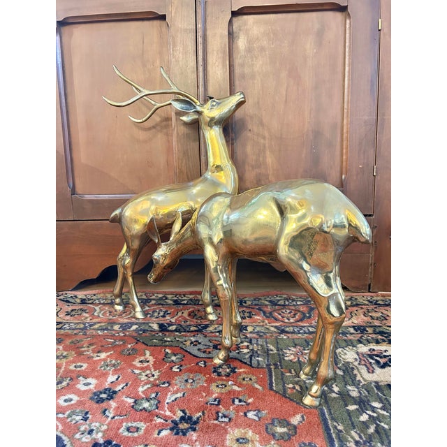Metal Mid 20th Century Large Polished Brass Deer Statues - A Pair For Sale - Image 7 of 11