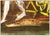 Realism Mid 20th Century Poised, Aaron Bohrod For Sale - Image 3 of 6