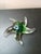 Italian 1980s Signed Oggeti Italy Green Swirl Art Glass Star Fish Paperweight For Sale - Image 3 of 6