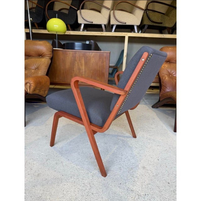 Bauhaus Easy Chair by Selman Selmanagic for VEB Deutsche Werkstätten Hellerau, 1957 For Sale - Image 9 of 18