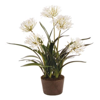 Agapanthus Drop-In 29" For Sale