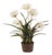 Agapanthus Drop-In 29" For Sale
