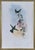 Antique Nineteenth Century John Gould Hummingbird Framed Fine Art Hand Colored Lithograph Capture the quintessential aura...