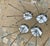 Knoll Set of 4 Pepe Cortés for Knoll Jamaica Counter Stools For Sale - Image 4 of 12