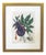 Well-Executed French Hand-Colored Engraving of La Serpentaire From a 'La Botanique Mise a La Portee De Tout Le Monde' by Genevieve De Nangis Regnault For Sale