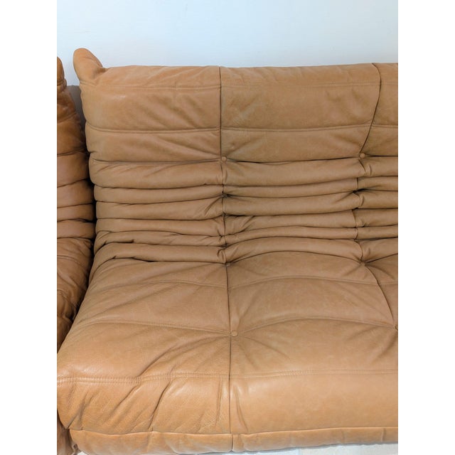 Togo Chairs by Michel Ducaroy for Ligne Roset, 1973, Set of 2 For Sale - Image 6 of 9