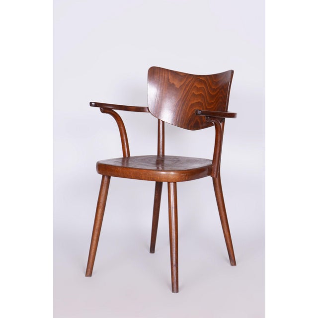 Vintage Art Deco Beech Chair from Ton, 1940s For Sale - Image 9 of 9